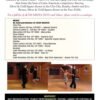 it-s-time-to-dance-to-gold-level-latin-