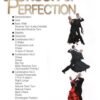 pursuit-of-perfection---tango