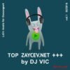 DJ VIC - Top zaicev.net