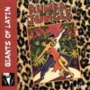Dancelife – rumba in the jungle