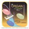 The Organ Lounge Vol.2