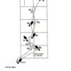 ballroom-dancing-10th-edition (5)