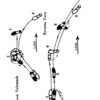 basic-ballroom-dancing-for-women