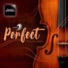 perfect-instrumental-single.remini-enhanced