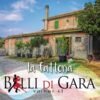 Balli Di Gara Vol. 43