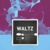 wdsf-technique-books-waltz-3rd-edition.enhanced