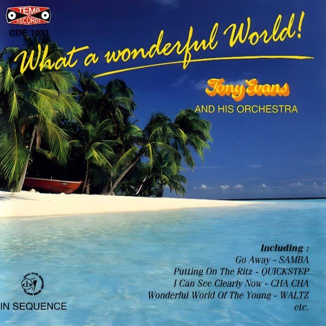 Tony Evans: What A Wonderful World
