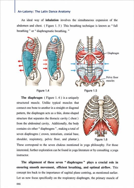 AN-LATOMY4